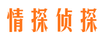 阜南市调查公司